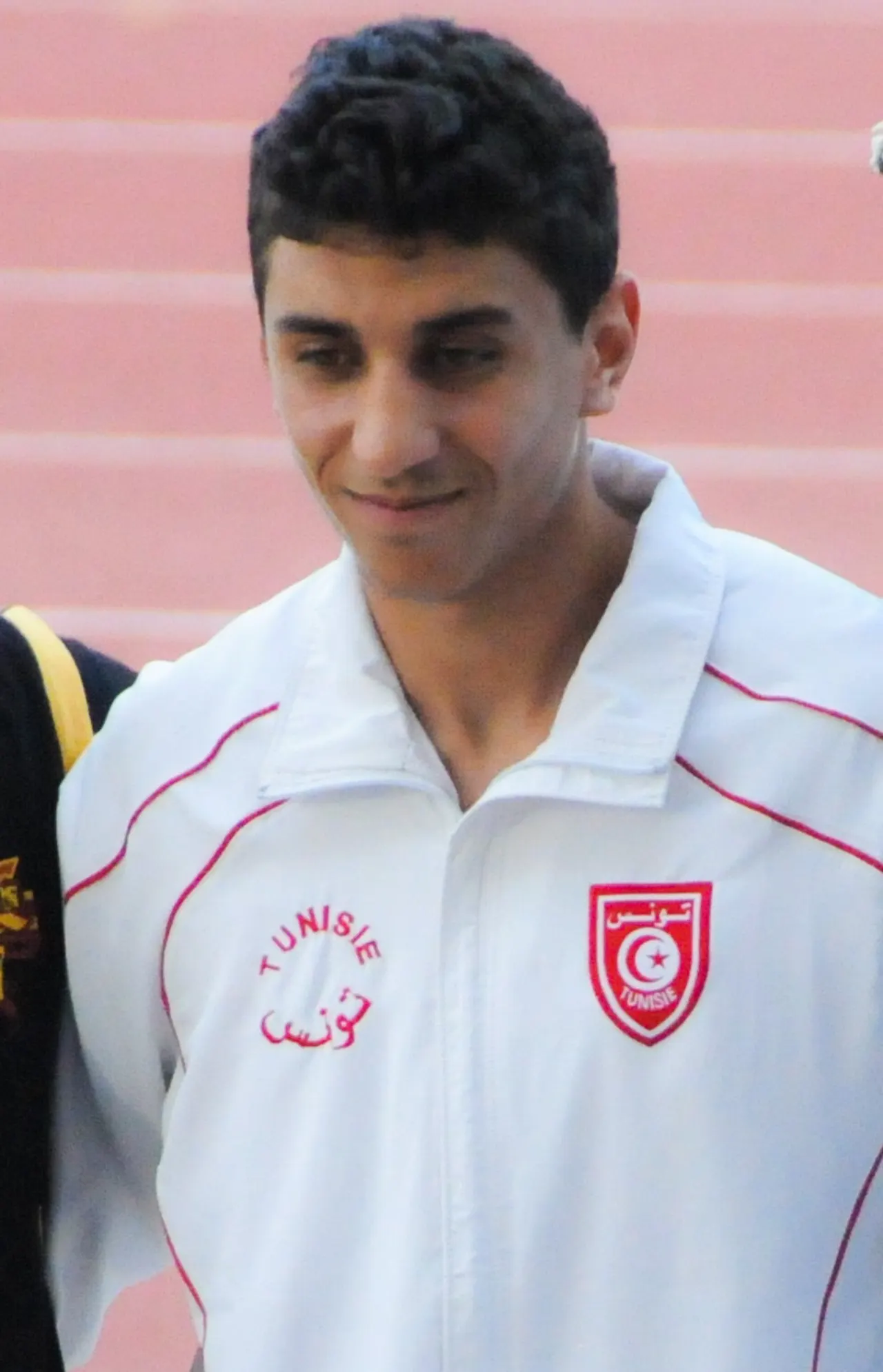 محمد أمين رمضانة